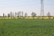 VJP 2007- 064.jpg